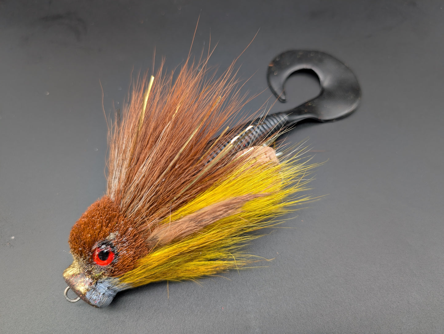 DARK CYPRINID