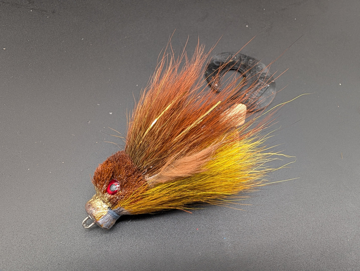 DARK CYPRINID