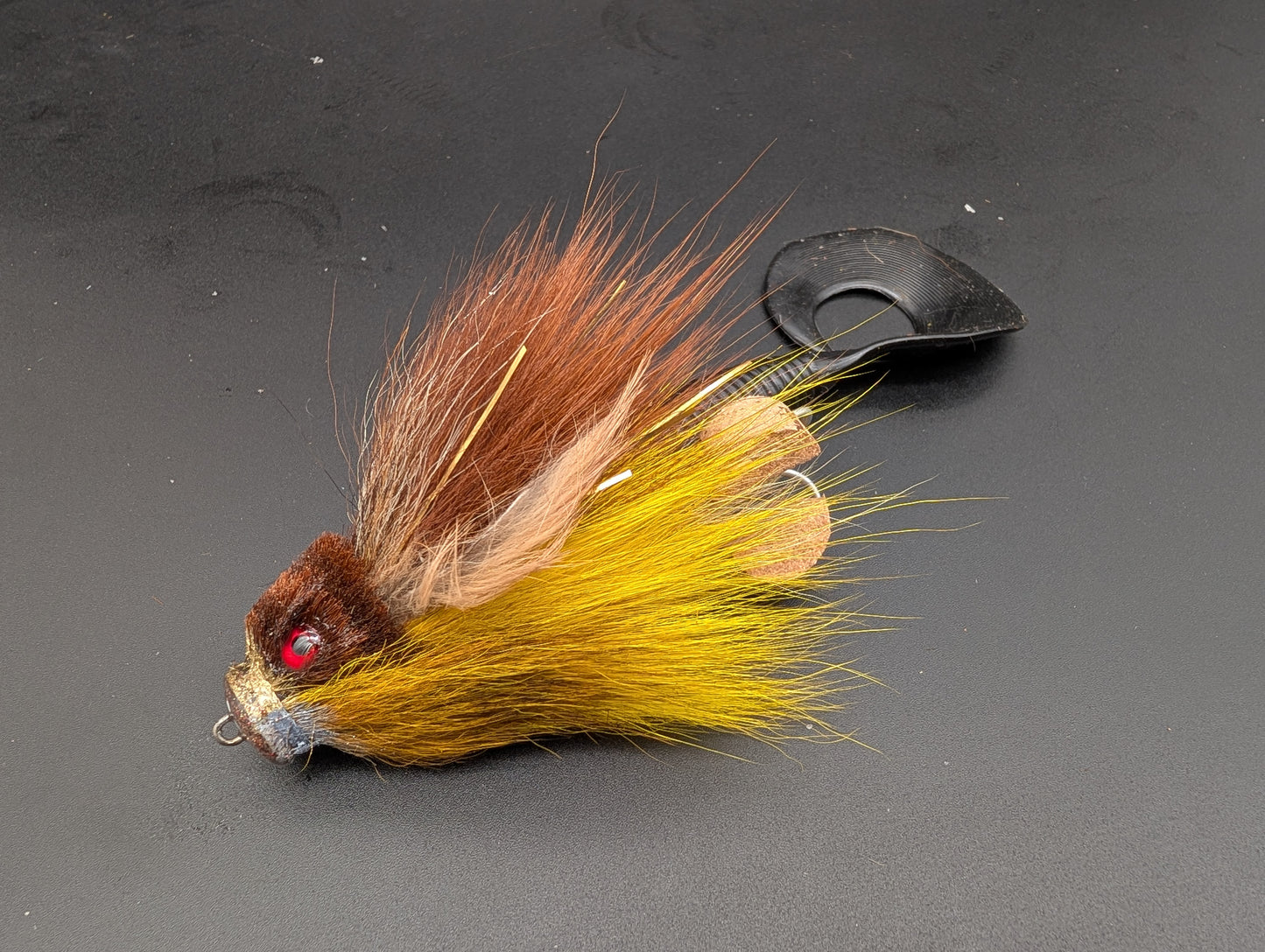 DARK CYPRINID