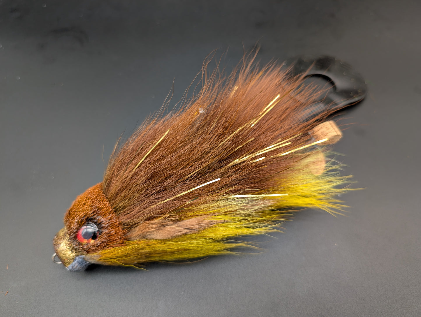 DARK CYPRINID